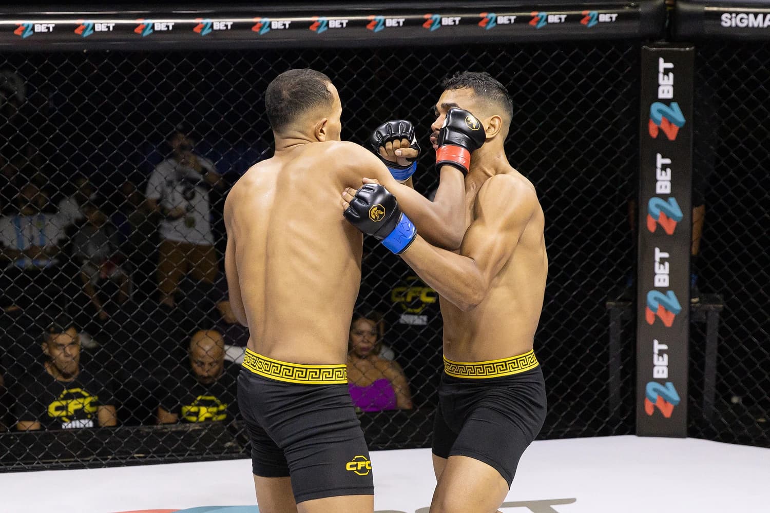 Fight Academy - Faculdade da Luta